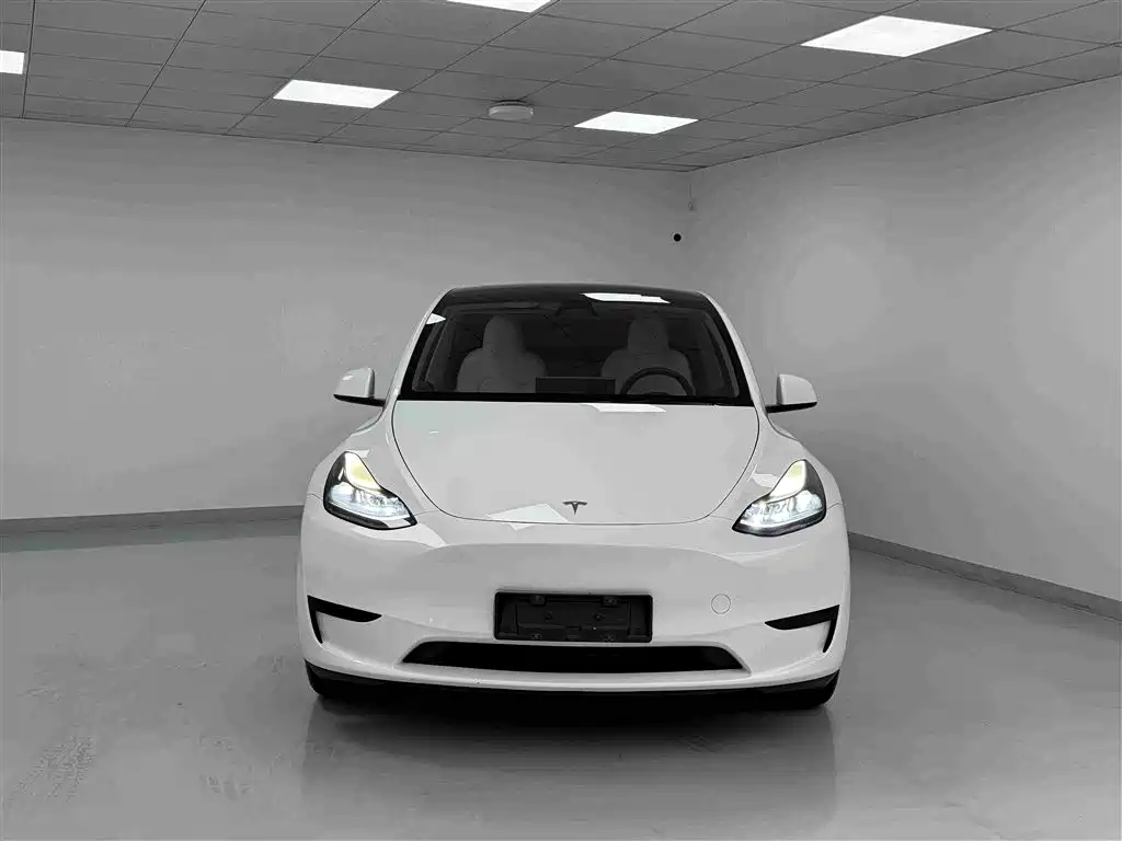 Tesla Model Y — миниатюра 2