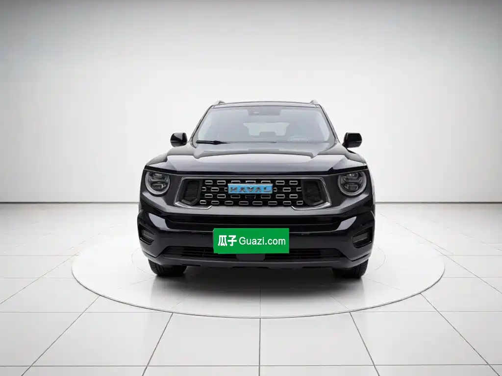Haval Big Dog PLUS New Energy — миниатюра 2