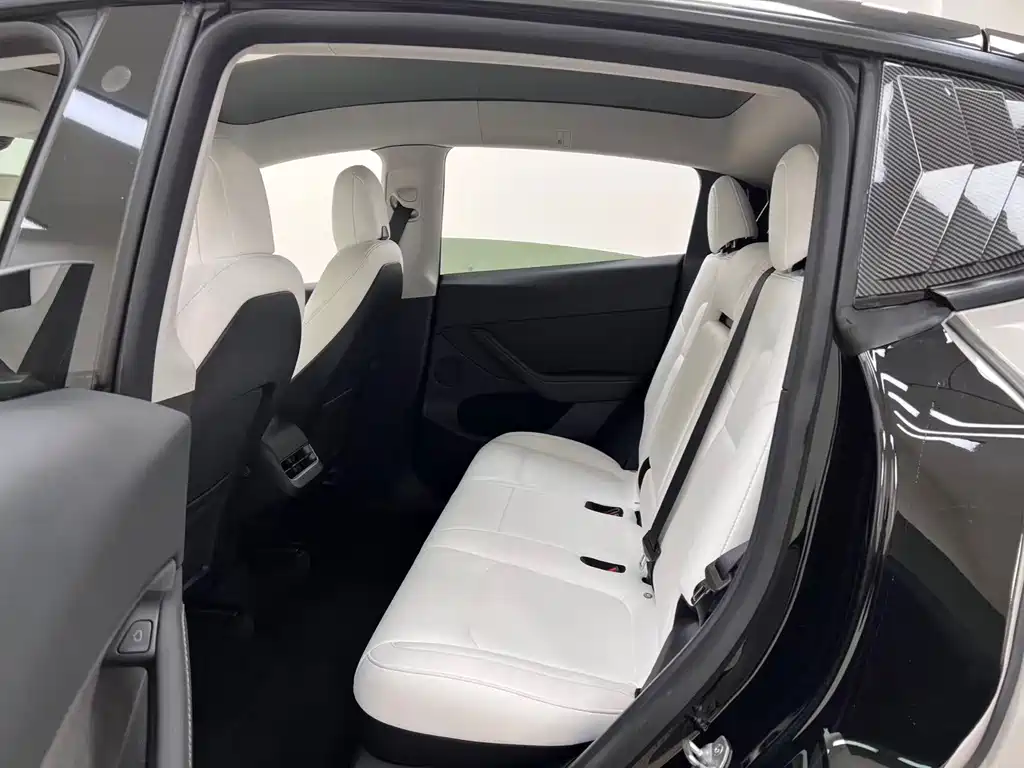 Tesla Model Y — миниатюра 23