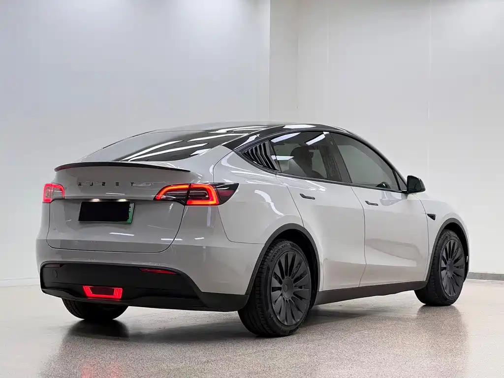 Tesla Model Y — миниатюра 4