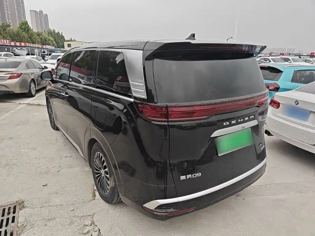 Denza Denza D9 — миниатюра 5