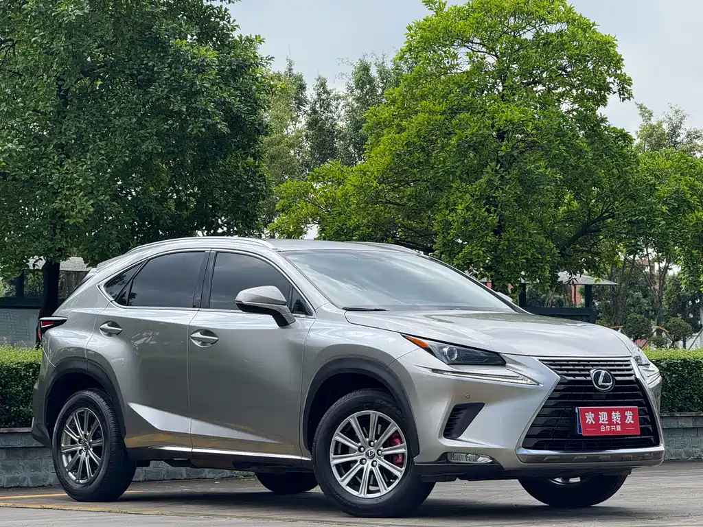 Lexus NX 2020 200 VI