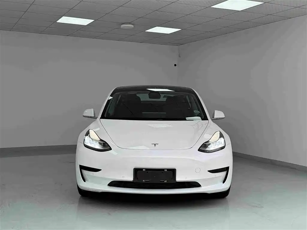 Tesla Model 3 — миниатюра 2