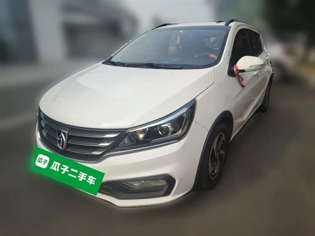 BAOJUN 310