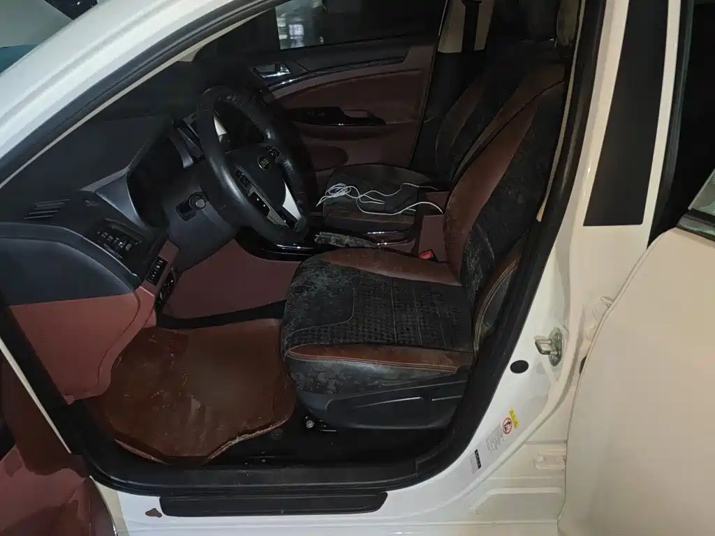 BYD Surui — миниатюра 11
