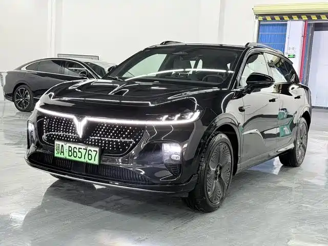 Voyah Zhiyin 2025