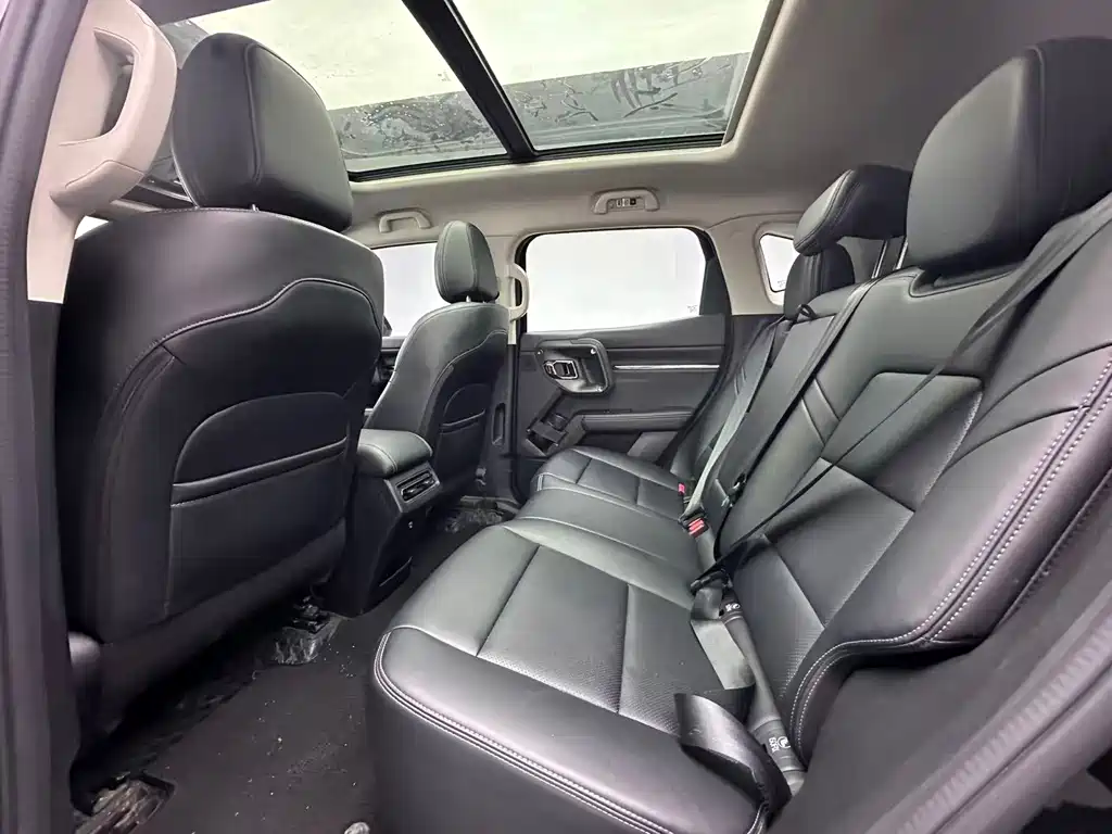 HAVAL SECOND GENERATION BIG DOG NEW ENERGY