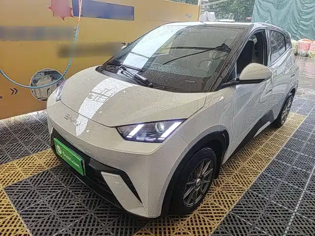 2024 BYD Seagull
