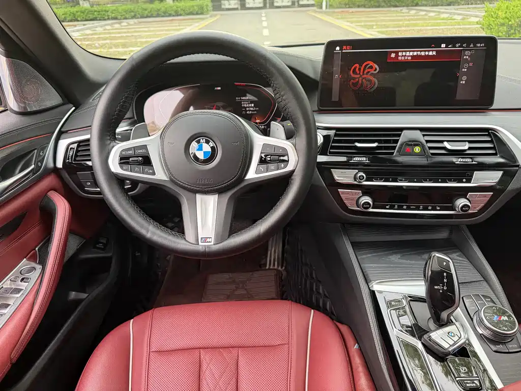 BMW 5 Series 5 2022 530Li Lead M Sport
