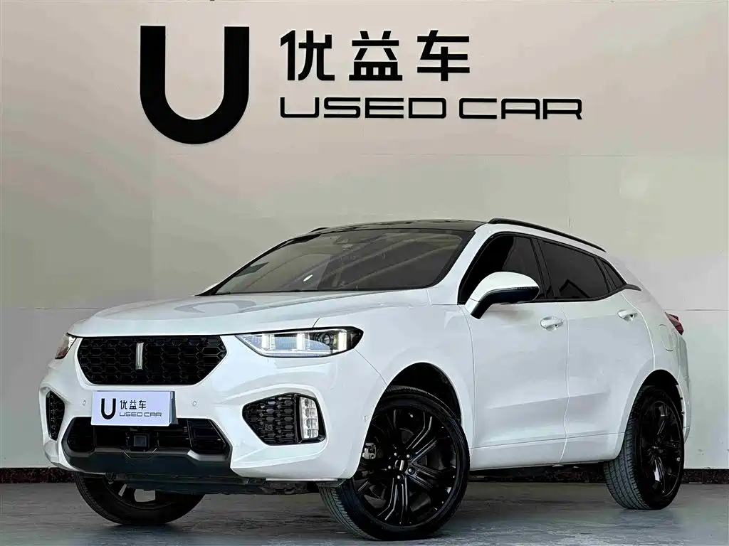 WEI PAI WEI BRAND VV5