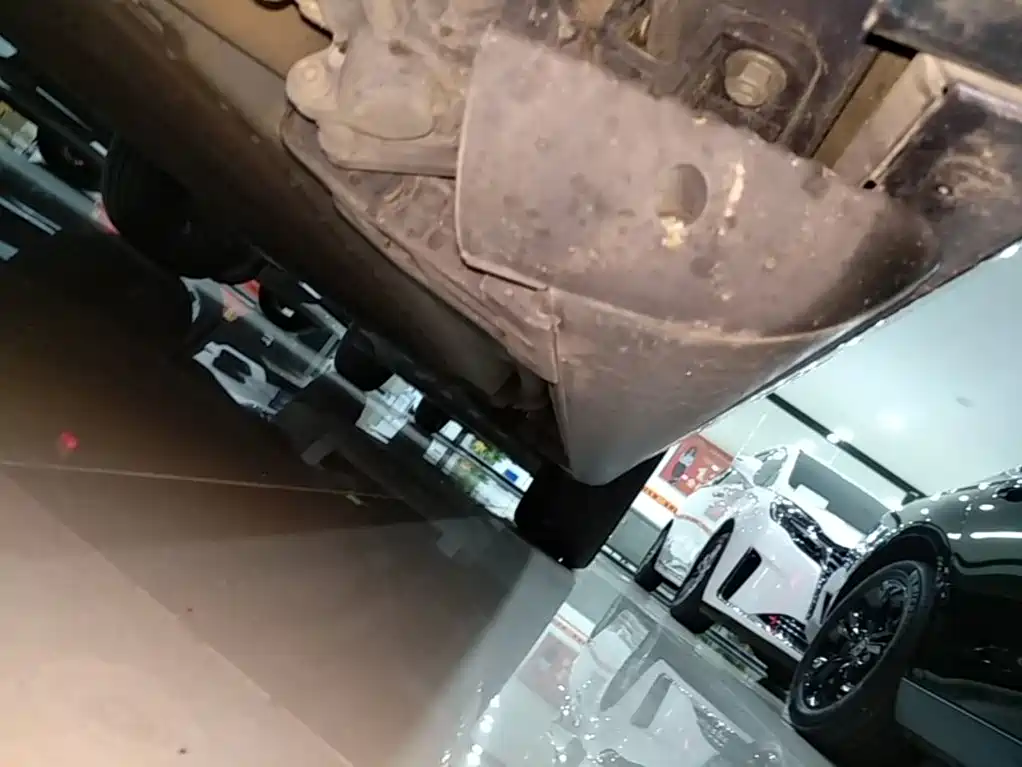 GAC Motor Trumpchi Xiangwang S9 — миниатюра 22