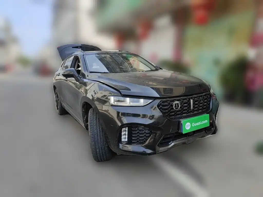 Wey Wey VV7 — миниатюра 24