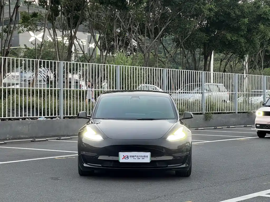 Tesla Model 3 — миниатюра 2