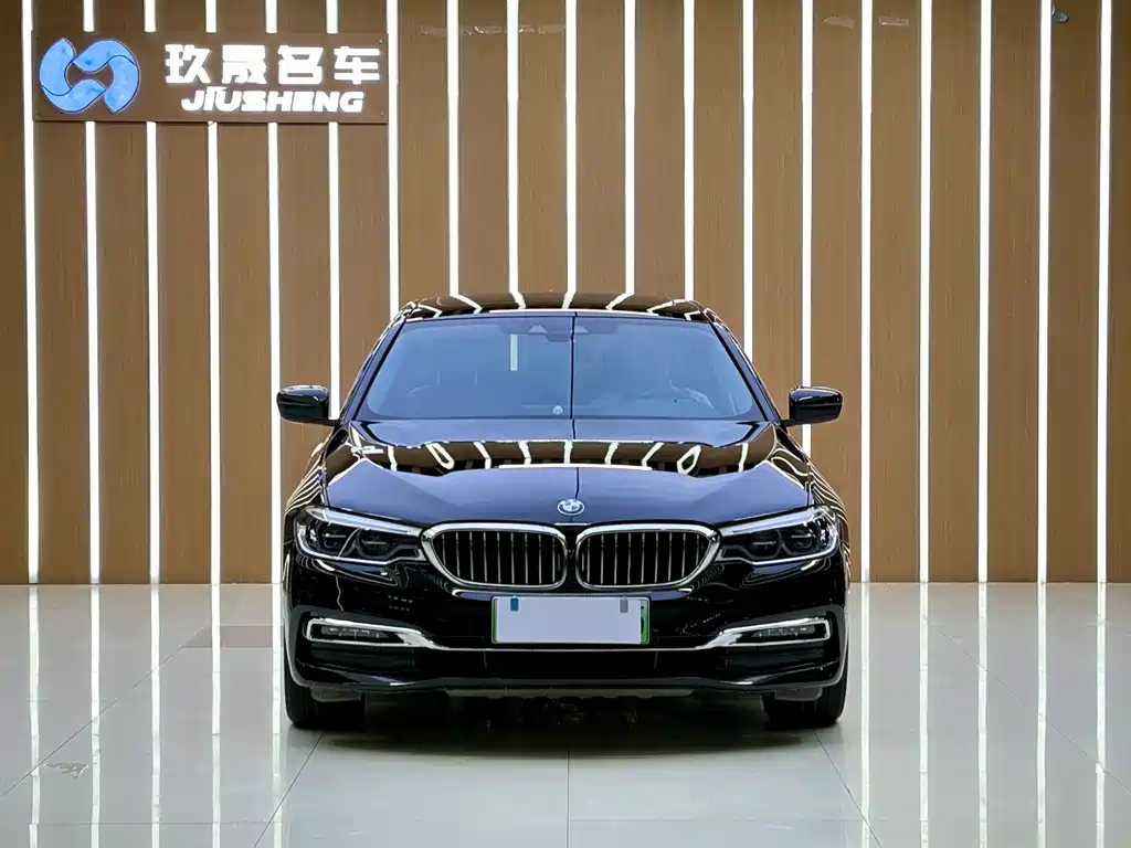 BMW 5 Series New Energy — миниатюра 2