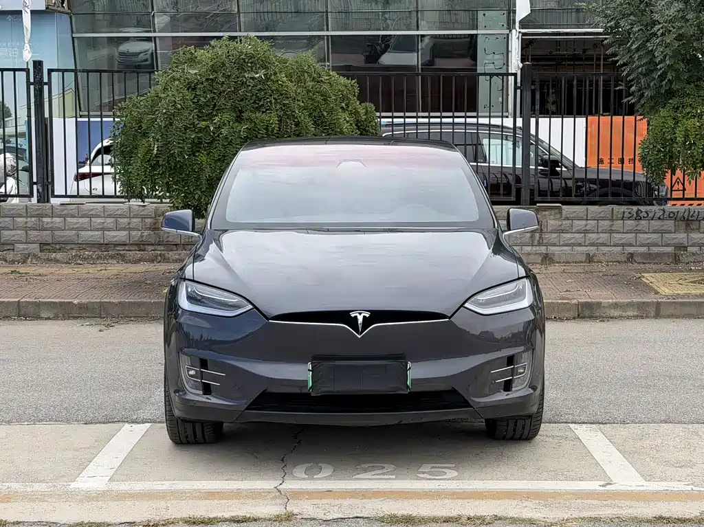 Tesla Model X — миниатюра 2