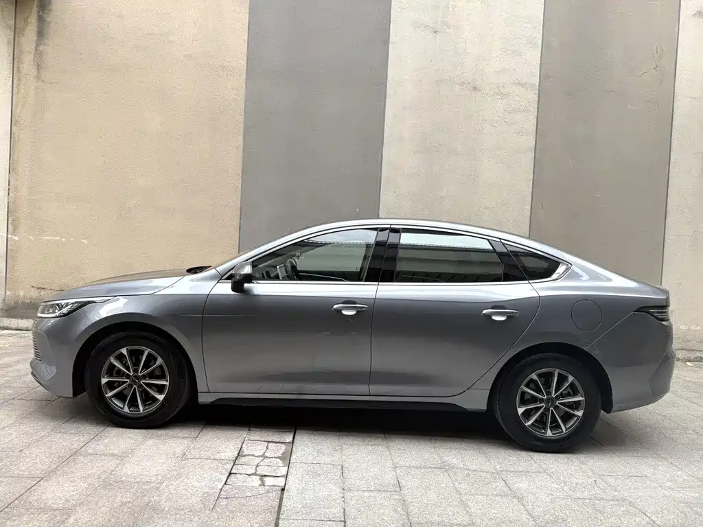 BYD Destroyer 05 2024 DM-i 55KM Luxury
