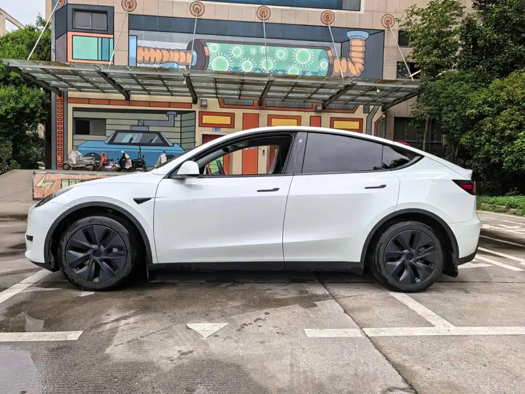 Tesla Model Y — миниатюра 13