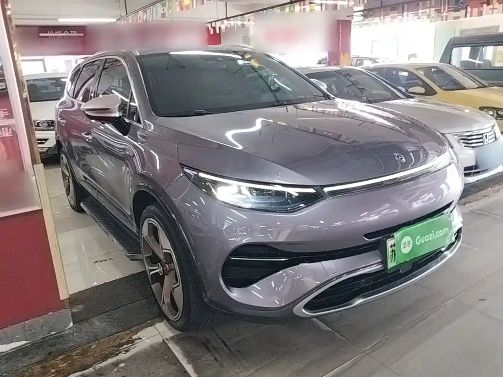 Denza Denza X — миниатюра 4