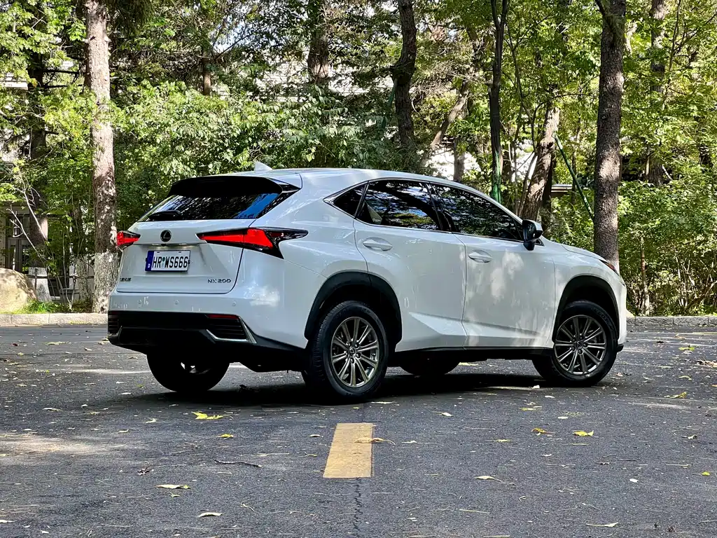 Lexus NX — миниатюра 8