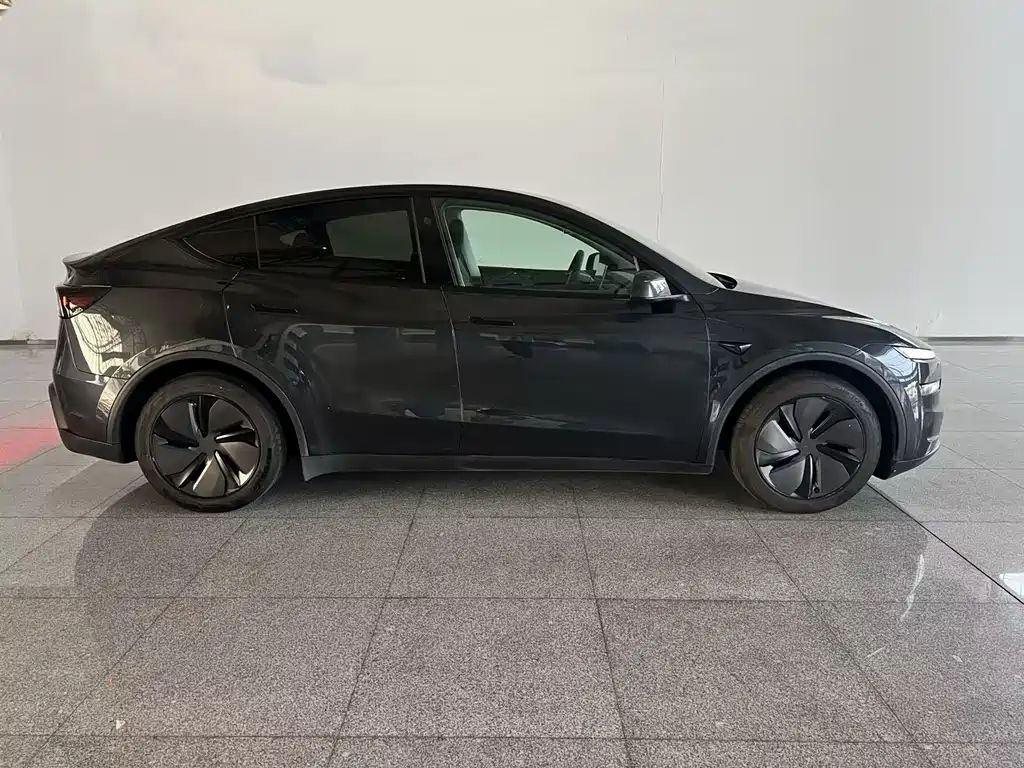 Tesla Model Y — миниатюра 3