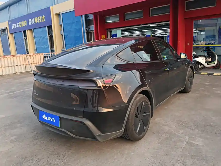 Tesla Model Y — миниатюра 3