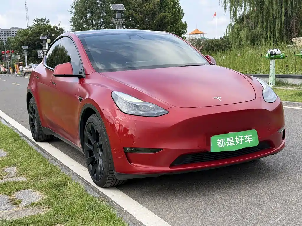 Tesla Model Y — миниатюра 3