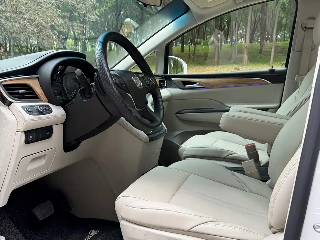 Buick GL8 — миниатюра 7