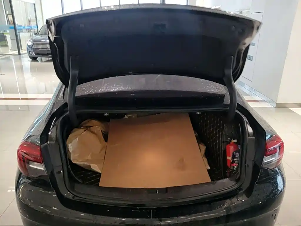 Buick Regal — миниатюра 19