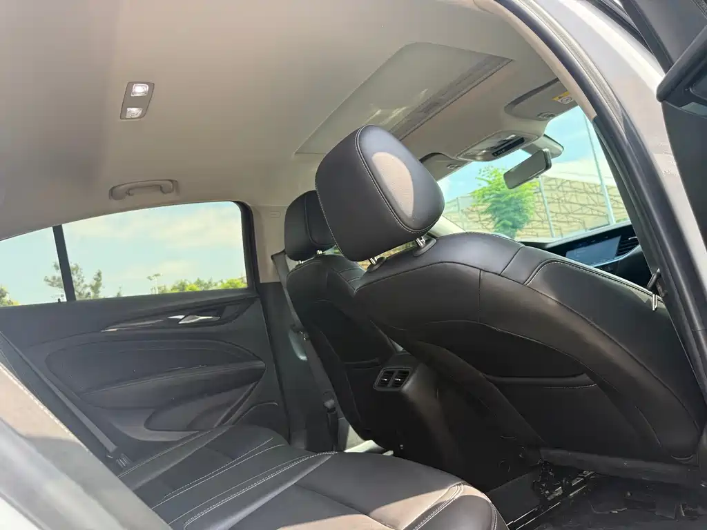 Buick Regal — миниатюра 14