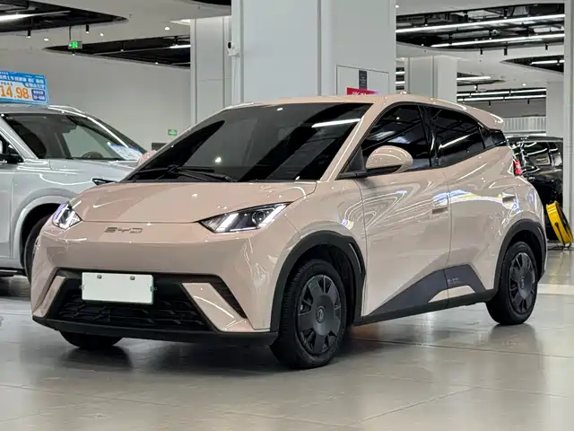 2024 BYD Seagull