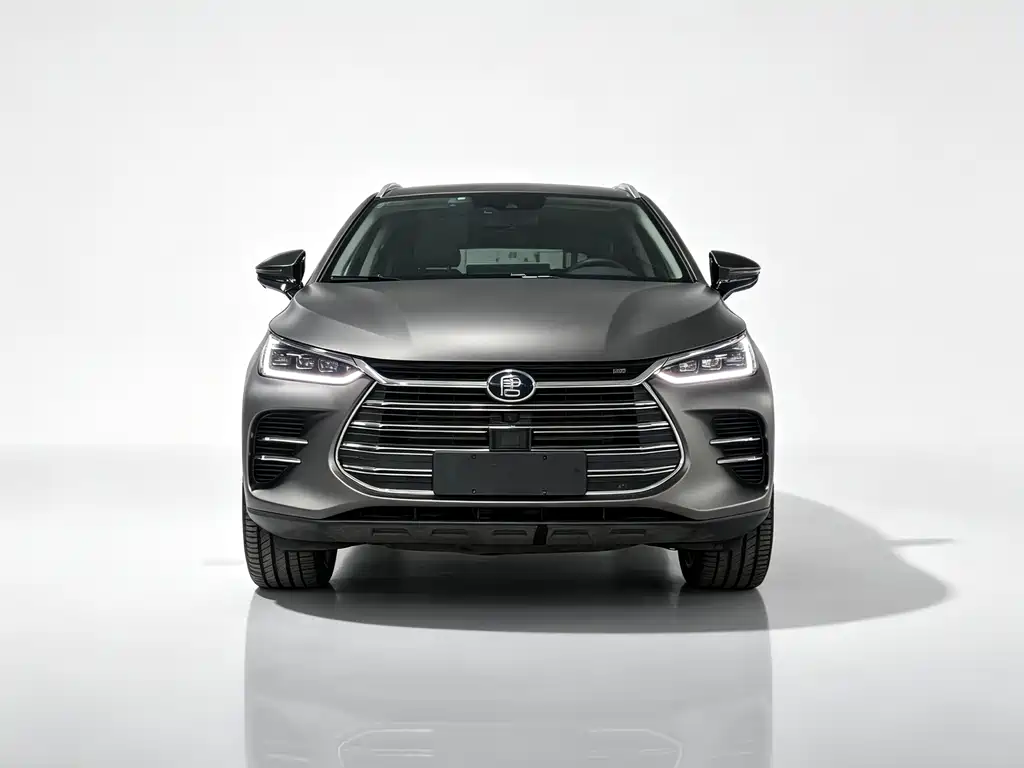 BYD Tang New Energy — миниатюра 2