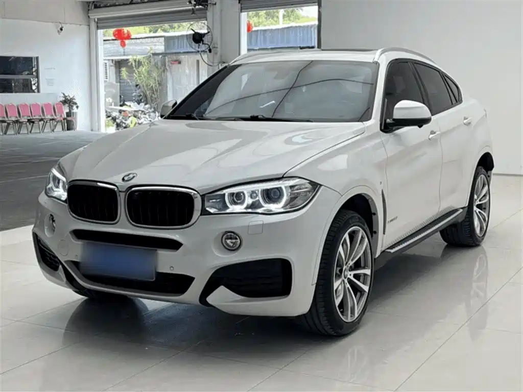 BMW X6 2019
