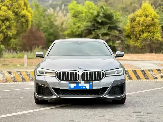 BMW 5 SERIES