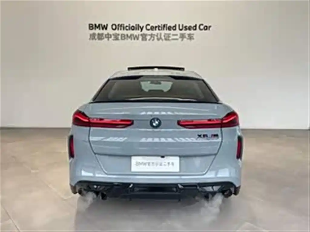 BMW X6 M — миниатюра 5