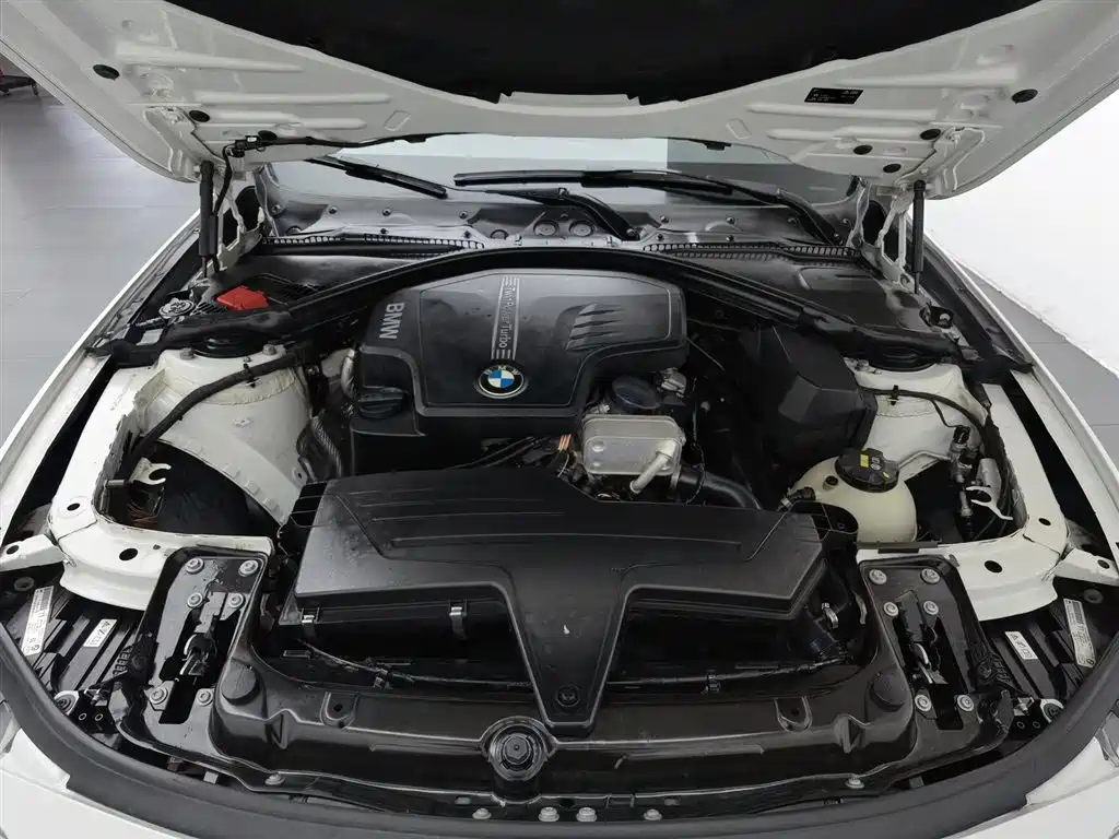 BMW 3 Series 3 2015 320Li Fashion
