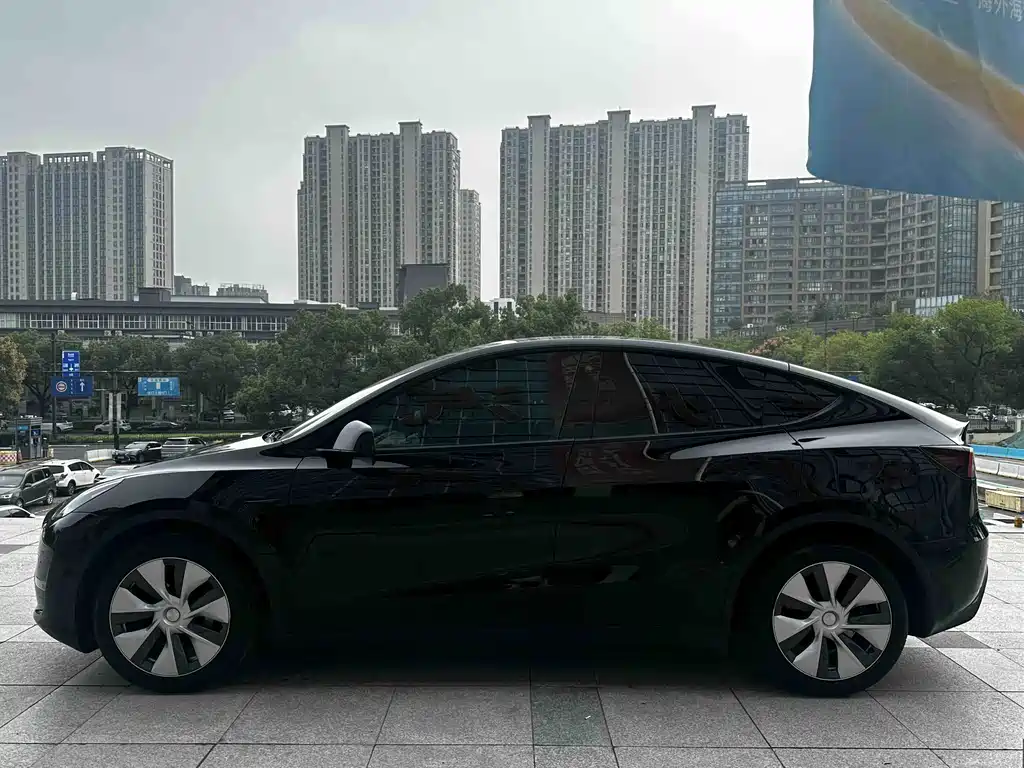 Tesla Model Y — миниатюра 3