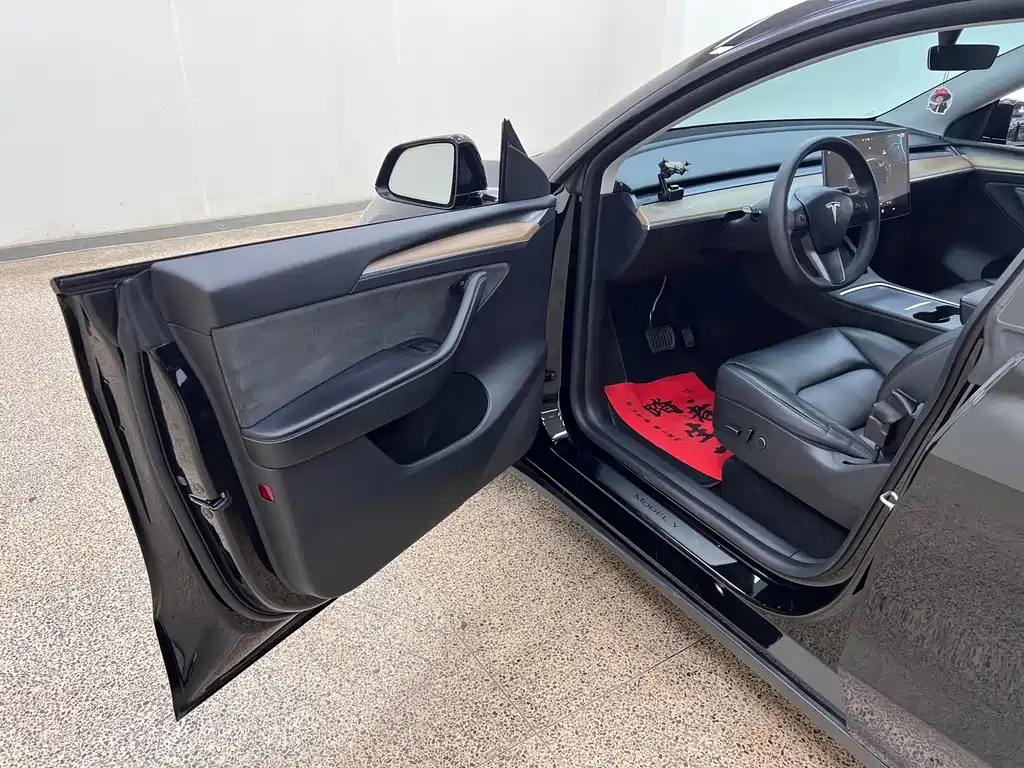 Tesla Model Y — миниатюра 10