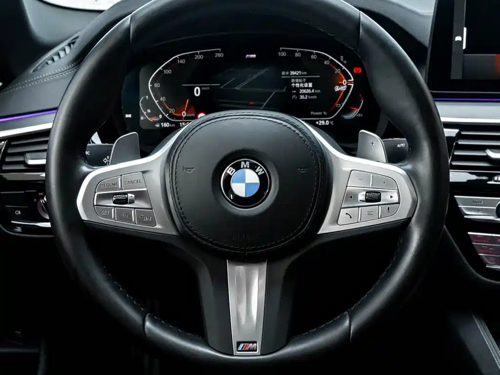 BMW 5 Series — миниатюра 16