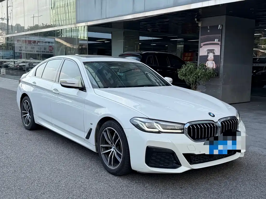BMW 5 Series (Import) — миниатюра 3