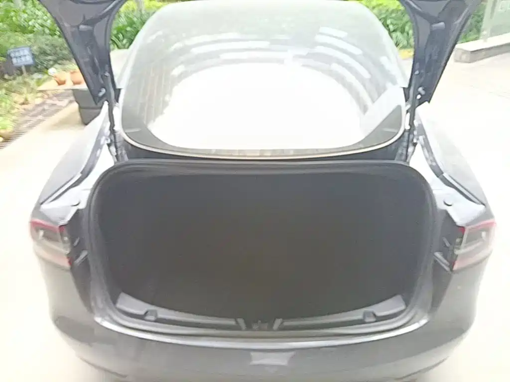 Tesla Model 3 — миниатюра 19