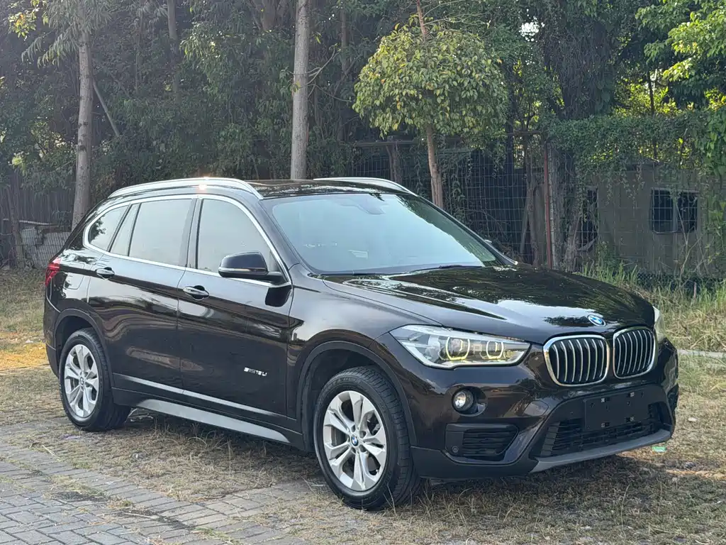 BMW X1 — миниатюра 2