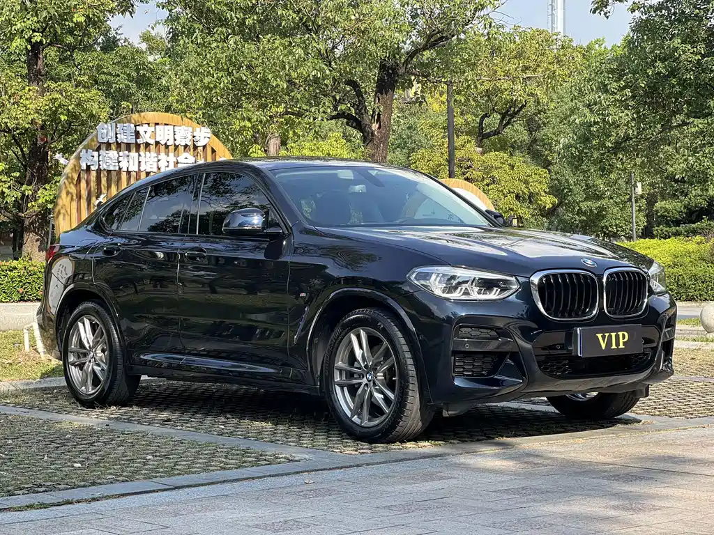BMW X4 — миниатюра 3