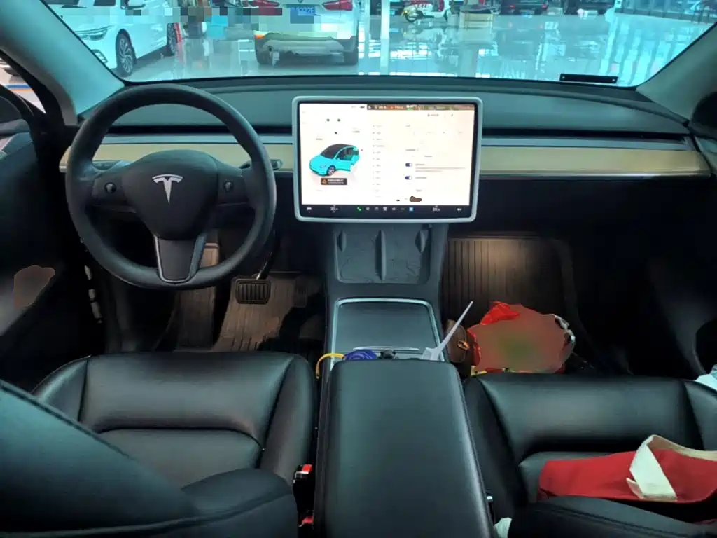 Tesla Model Y — миниатюра 10