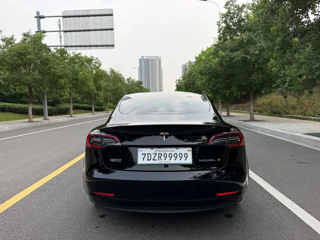 Tesla Model 3 — миниатюра 6