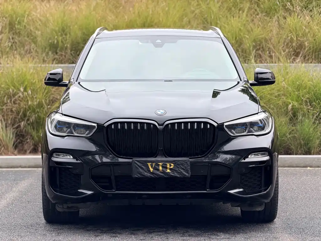 BMW X5 (Import) — миниатюра 2