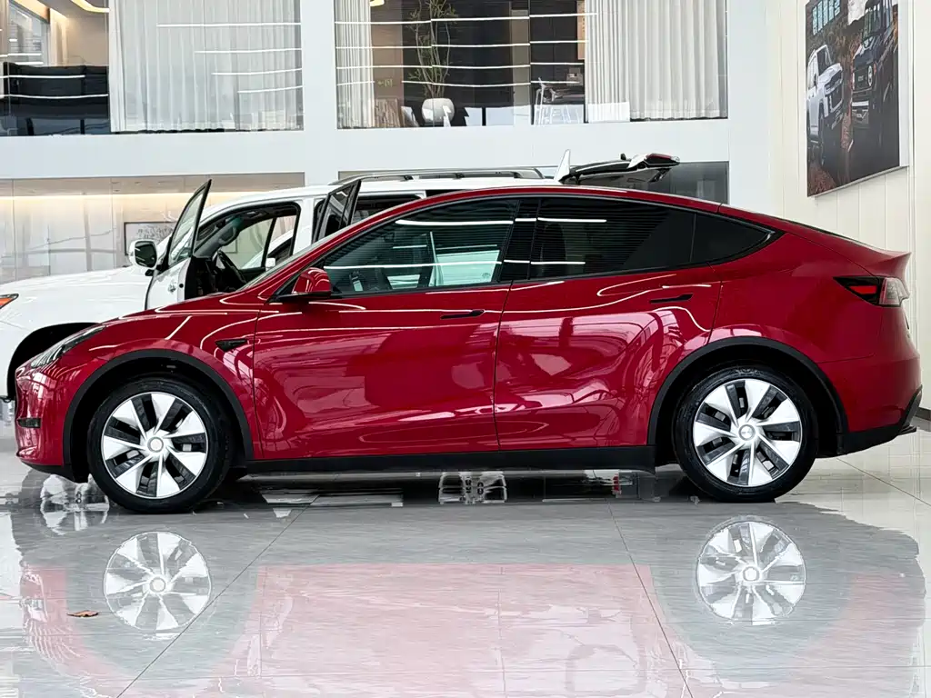Tesla Model Y — миниатюра 5