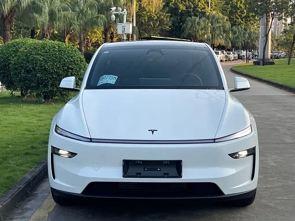 Tesla Model Y — миниатюра 2