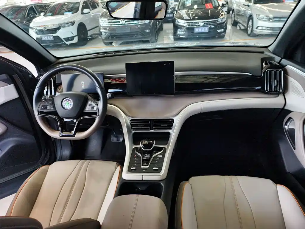 BYD Pro New Energy — миниатюра 19