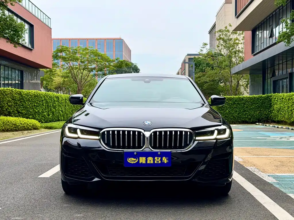 BMW 5 Series — миниатюра 2