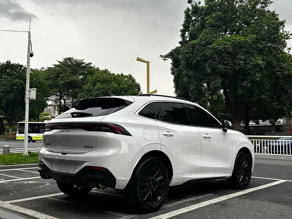 Fengxing Fengxing T5 EVO — миниатюра 6